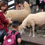 Kunjungan Top Affiliate di Qingjing Farm